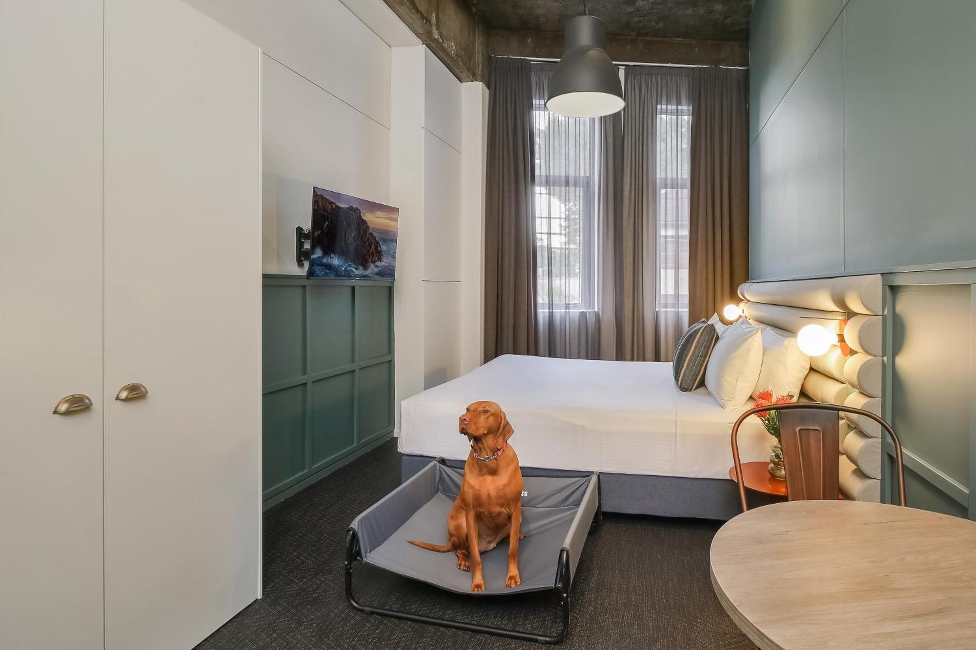 เดอะ เออร์เบิร์น นิวทาวน์ โฮเต็ล Hotel ซิดนีย์ ภายนอก รูปภาพ